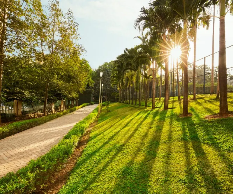 Solitaire, Hiranandani Estate, Thane photo 8